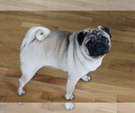 Small #5 Breeder Profile image