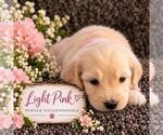 Small #13 Breeder Profile image
