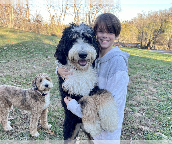 Medium Photo #1  Breeder Profile in GLOUSTER, OH, USA