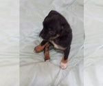 Small #5 Breeder Profile image