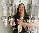 Small #51 Breeder Profile image