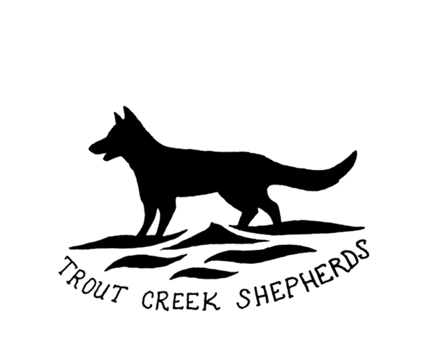 Medium Photo #1  Breeder Profile in BRISTOL, IN, USA