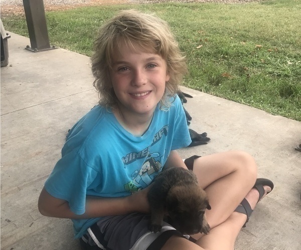 Medium Photo #8  Breeder Profile in THAYER, MO, USA