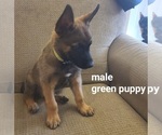 Small #9 Breeder Profile image