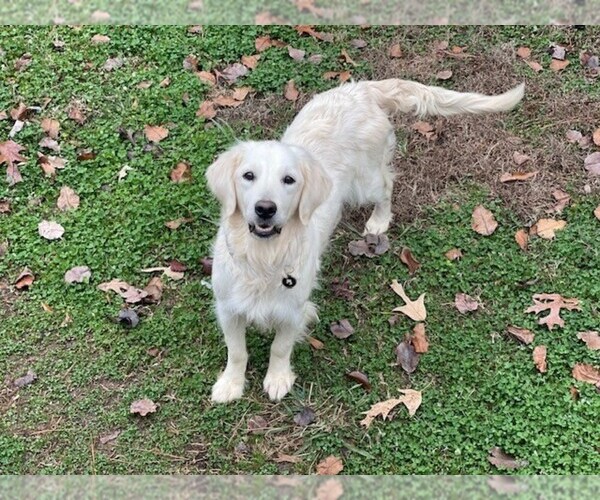Medium Photo #4  Breeder Profile in FAIR PLAY, SC, USA