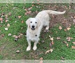 Small #3 Breeder Profile image