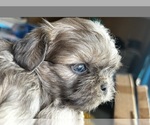 Small #3 Breeder Profile image