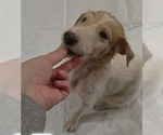Small #6 Breeder Profile image