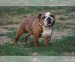 Small #2 Breeder Profile image