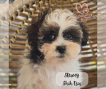 Small #3 Breeder Profile image