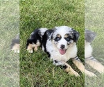 Small breeder photo