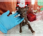 Small #7 Breeder Profile image