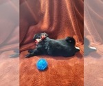 Small #15 Breeder Profile image