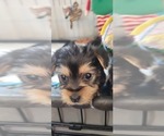 Small #317 Breeder Profile image