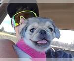 Small #15 Breeder Profile image