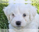 Small #1 Breeder Profile image