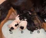 Small #3 Breeder Profile image