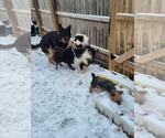 Small #71 Breeder Profile image