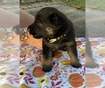 Small #2 Breeder Profile image