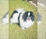 Small #15 Breeder Profile image