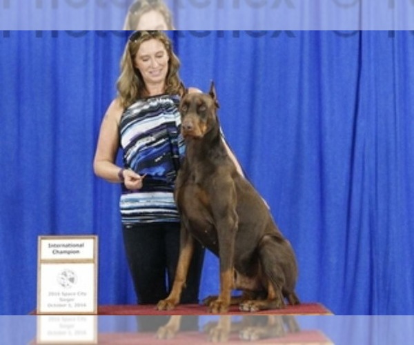 Medium Photo #12  Breeder Profile in CALDWELL, TX, USA