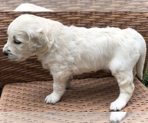 Medium Photo #3  Breeder Profile in SOUTHBURY, CT, USA