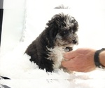 Small #5 Breeder Profile image
