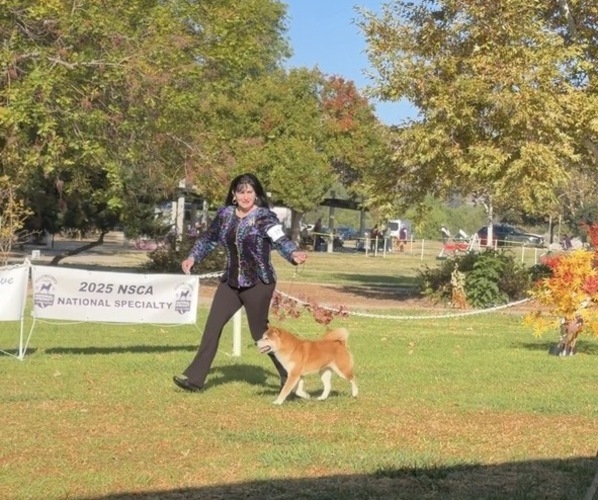 Medium Photo #24  Breeder Profile in THOMASTON, GA, USA