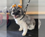 Small #1 Breeder Profile image