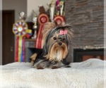 Small #29 Breeder Profile image