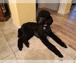 Small #3 Breeder Profile image