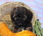 Small #20 Breeder Profile image