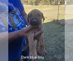 Small #29 Breeder Profile image