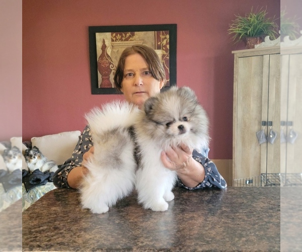 Medium Photo #3  Breeder Profile in LONE ROCK, WI, USA
