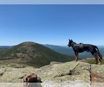 Small #35 Breeder Profile image