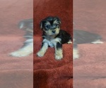 Small #301 Breeder Profile image