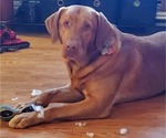 Small #9 Breeder Profile image