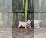 Small #5 Breeder Profile image