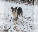 Small #5 Breeder Profile image
