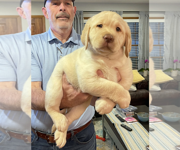 Medium Photo #1  Breeder Profile in HIGH POINT, NC, USA
