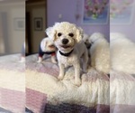 Small #2 Breeder Profile image