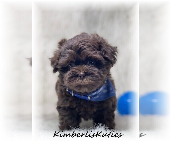 Medium Photo #14  Breeder Profile in LIPAN, TX, USA
