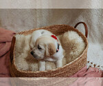 Small #27 Breeder Profile image