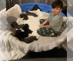 Small #16 Breeder Profile image