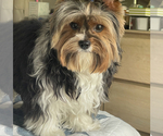 Small #6 Breeder Profile image
