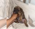 Small #4 Breeder Profile image
