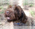 Small #9 Breeder Profile image