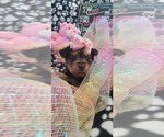 Small #247 Breeder Profile image
