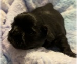Small #5 Breeder Profile image