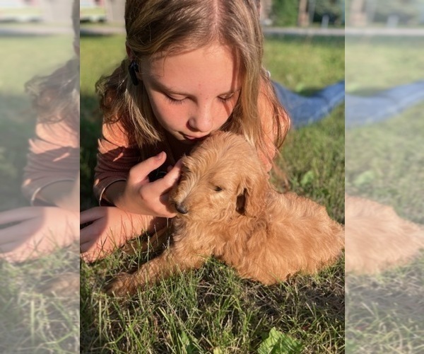 Medium Photo #1  Breeder Profile in KALISPELL, MT, USA